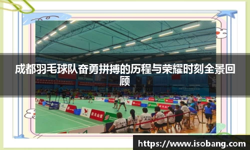 成都羽毛球队奋勇拼搏的历程与荣耀时刻全景回顾